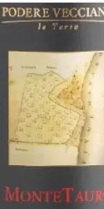 Screenshot 2025-06-18 215616