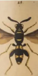 Screenshot 2025-06-18 215659